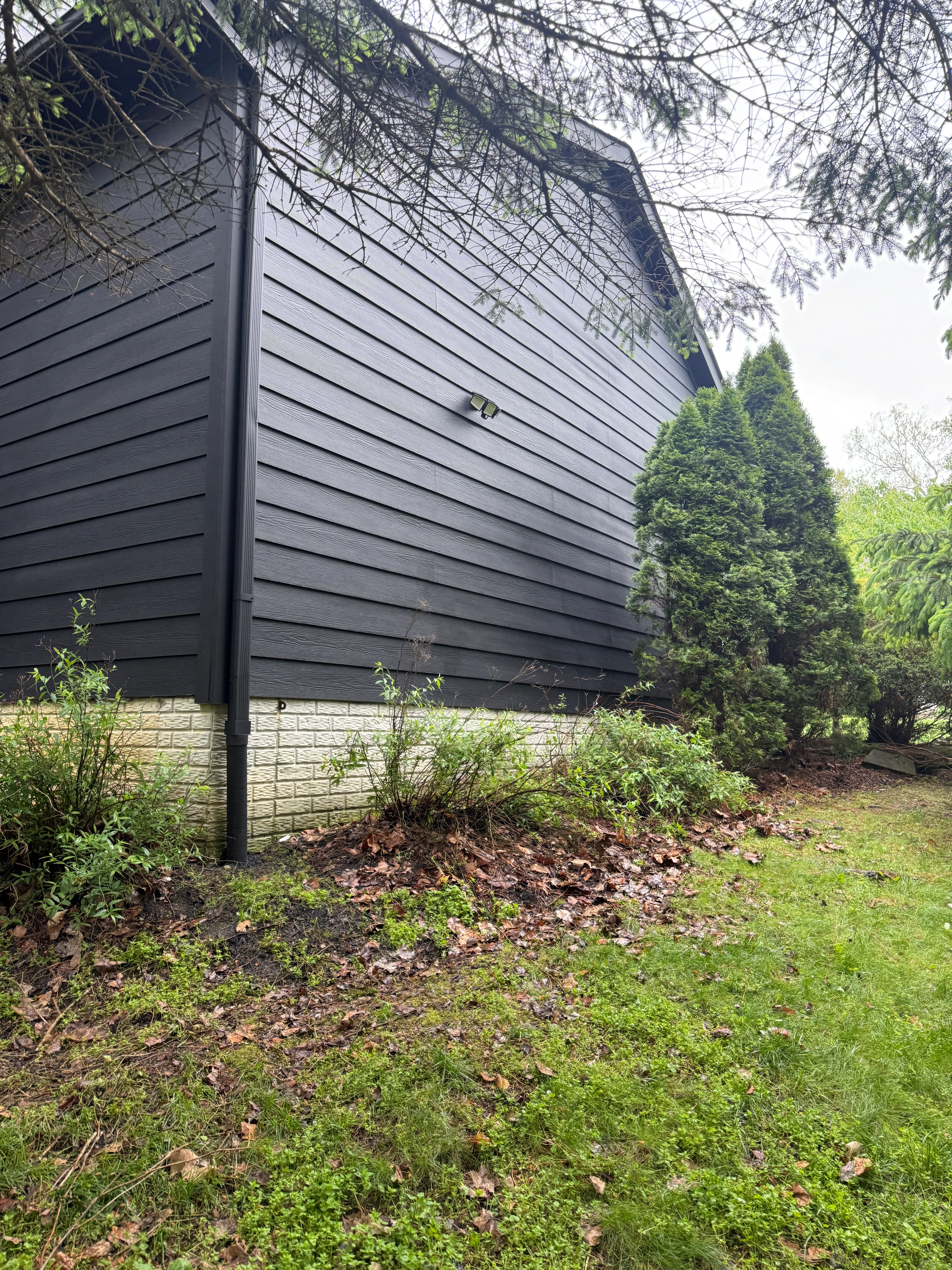 Modern black horizontal siding on residential exterior with light foundation trim and evergreen landscaping